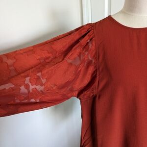 Elegant Rust Blouse with Lace Sleeves